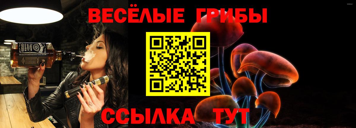купить   Галлюциногенные грибы Magic Shrooms  Вход с VPN  Галлюциногенные грибы прущие грибы  Реж 